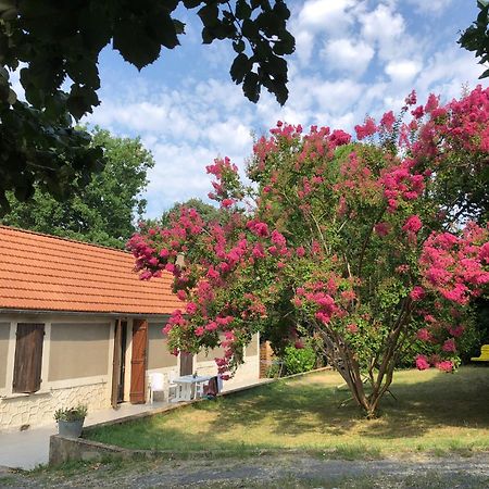 Au Lilas Rose Maison Entre Campagne Et Village Belvès Exteriér fotografie