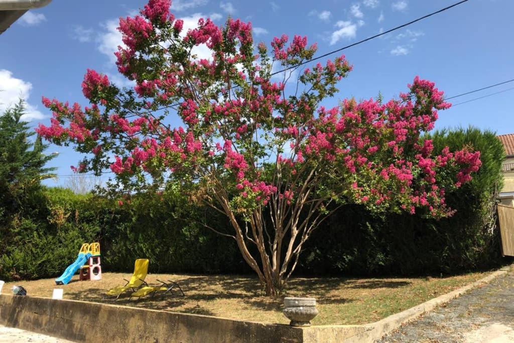 Au Lilas Rose Maison Entre Campagne Et Village Belvès Exteriér fotografie