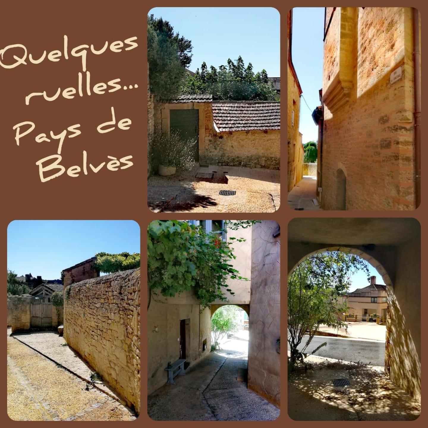 Au Lilas Rose Maison Entre Campagne Et Village Belvès Exteriér fotografie